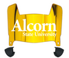 Alcorn State Braves Mini Football Helmet Visor Shield w/ Clips - PICK VISOR & LOGO COLOR