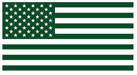 Dark Green American Flag USA Patriotic Viny Decal - Pick Size