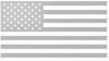 FROSTED ETCHED GLASS American Flag USA Patriotic Viny Decal - Pick Size