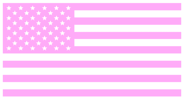 LIGHT PINK American Flag USA Patriotic Viny Decal - Pick Size