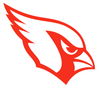 Arizona Cardinals Fluorescent Neon Premium DieCut Vinyl Decal PICK COLOR & SIZE