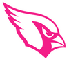 Arizona Cardinals Fluorescent Neon Premium DieCut Vinyl Decal PICK COLOR & SIZE