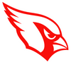 Arizona Cardinals Fluorescent Neon Premium DieCut Vinyl Decal PICK COLOR & SIZE