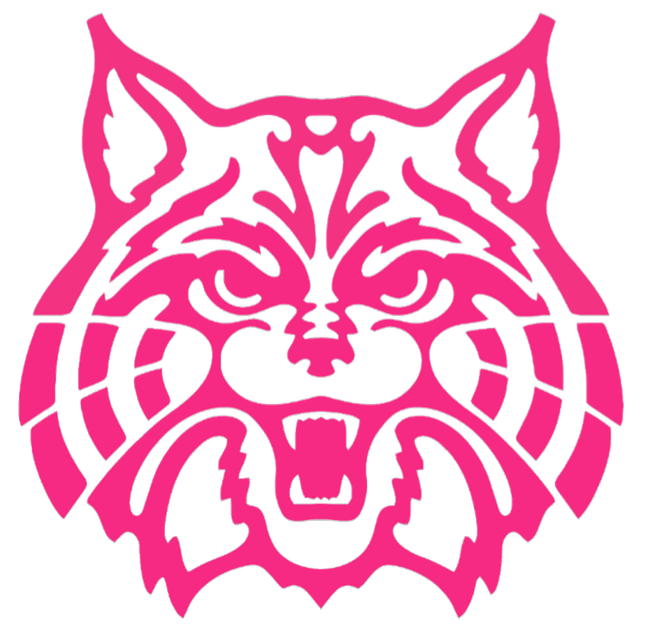 Arizona Wildcats HOT PINK Mascot Logo Premium DieCut Vinyl Decal PICK SIZE
