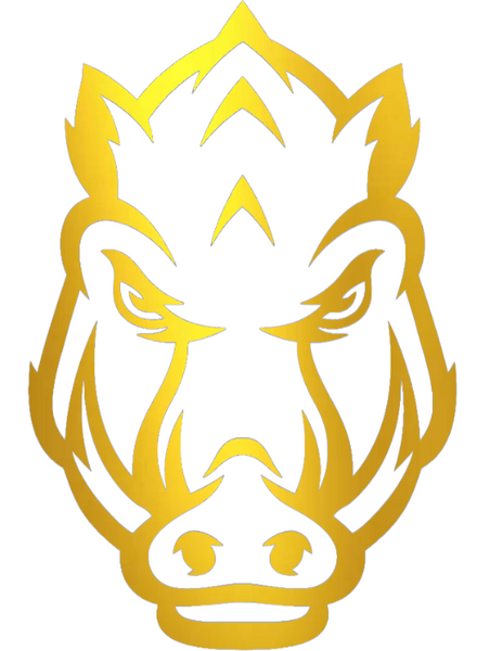 Arkansas Razorbacks Gold Chrome Mirror Alternate Logo Premium DieCut Vinyl Decal PICK SIZE
