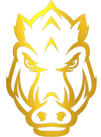 Arkansas Razorbacks Gold Chrome Mirror Alternate Logo Premium DieCut Vinyl Decal PICK SIZE