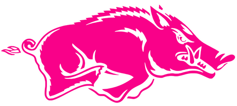 Arkansas Razorbacks HOT PINK Team Logo Premium DieCut Vinyl Decal PICK SIZE