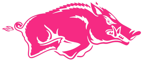Arkansas Razorbacks HOT PINK Team Logo Premium Vinyl Decal PICK SIZE ...