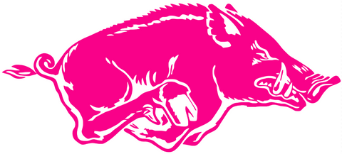 Arkansas Razorbacks Hot Pink Retro Throwback Logo Premium DieCut Vinyl Decal PICK SIZE