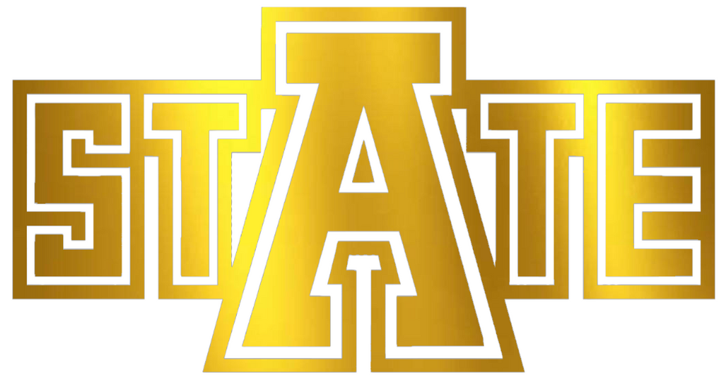 Arkansas State Red Wolves GOLD CHROME MIRROR State Logo Premium DieCut Vinyl Decal PICK SIZE