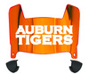 Auburn Tigers Mini Football Helmet Visor Shield w/ Clips - PICK VISOR & LOGO COLOR