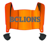BC Lions Mini Football Helmet Visor Shield w/ Clips - PICK VISOR & LOGO COLOR