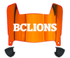 BC Lions Mini Football Helmet Visor Shield w/ Clips - PICK VISOR & LOGO COLOR
