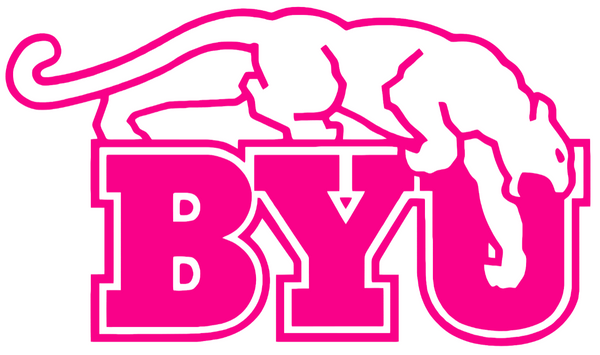 BYU Brigham Young Cougars Hot Pink Retro Throwback Logo Premium DieCut Vinyl Decal PICK SIZE