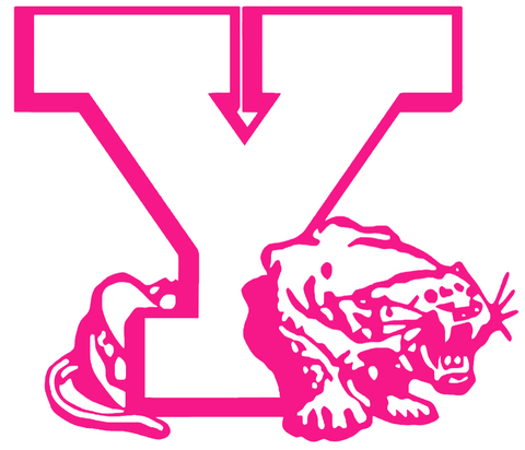 BYU Brigham Young Cougars Hot Pink Retro Throwback Logo Premium DieCut Vinyl Decal PICK SIZE