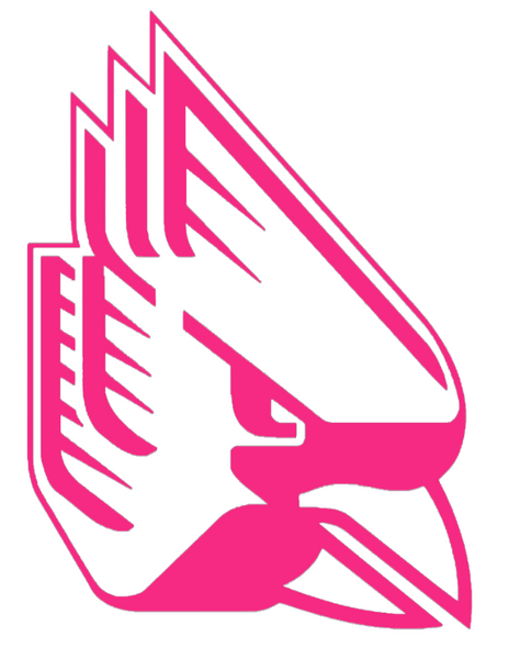 Ball State Cardinals HOT PINK Team Logo Premium DieCut Vinyl Decal PICK SIZE