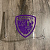 Baltimore Ravens Full Size Football Helmet Visor Shield Clear w/ Clips - PICK LOGO COLOR