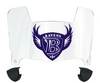 Baltimore Ravens Retro Throwback Mini Football Helmet Visor Shield w/ Clips - PICK VISOR & LOGO COLOR
