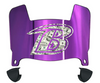 Baltimore Ravens Limited Edition Mini Football Helmet Visor Shield w/ Clips - PICK VISOR & LOGO COLOR