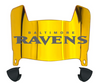 Baltimore Ravens Mini Football Helmet Visor Shield w/ Clips - PICK VISOR & LOGO COLOR