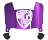 Baltimore Ravens Mini Football Helmet Visor Shield w/ Clips - PICK VISOR & LOGO COLOR