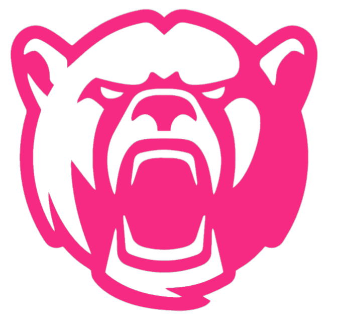 Baylor Bears HOT PINK Mascot Logo Premium DieCut Vinyl Decal PICK SIZE