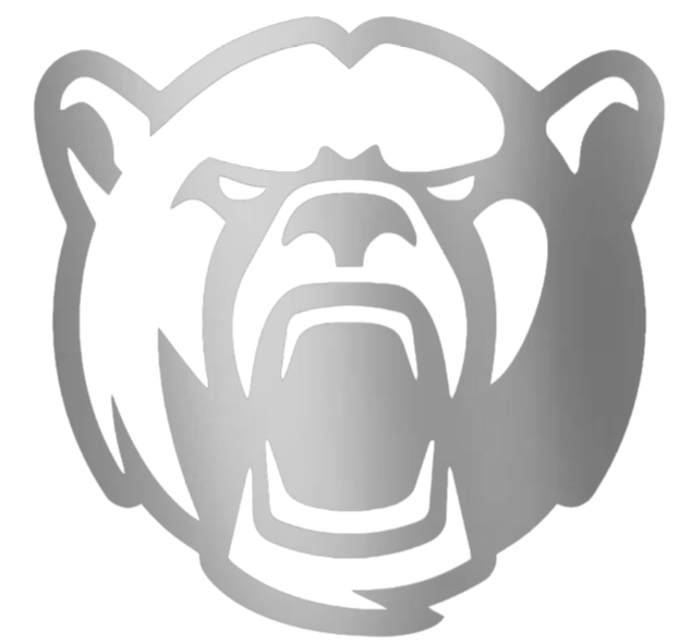 Baylor Bears SILVER CHROME MIRROR Mascot Logo Premium DieCut Vinyl Decal PICK SIZE