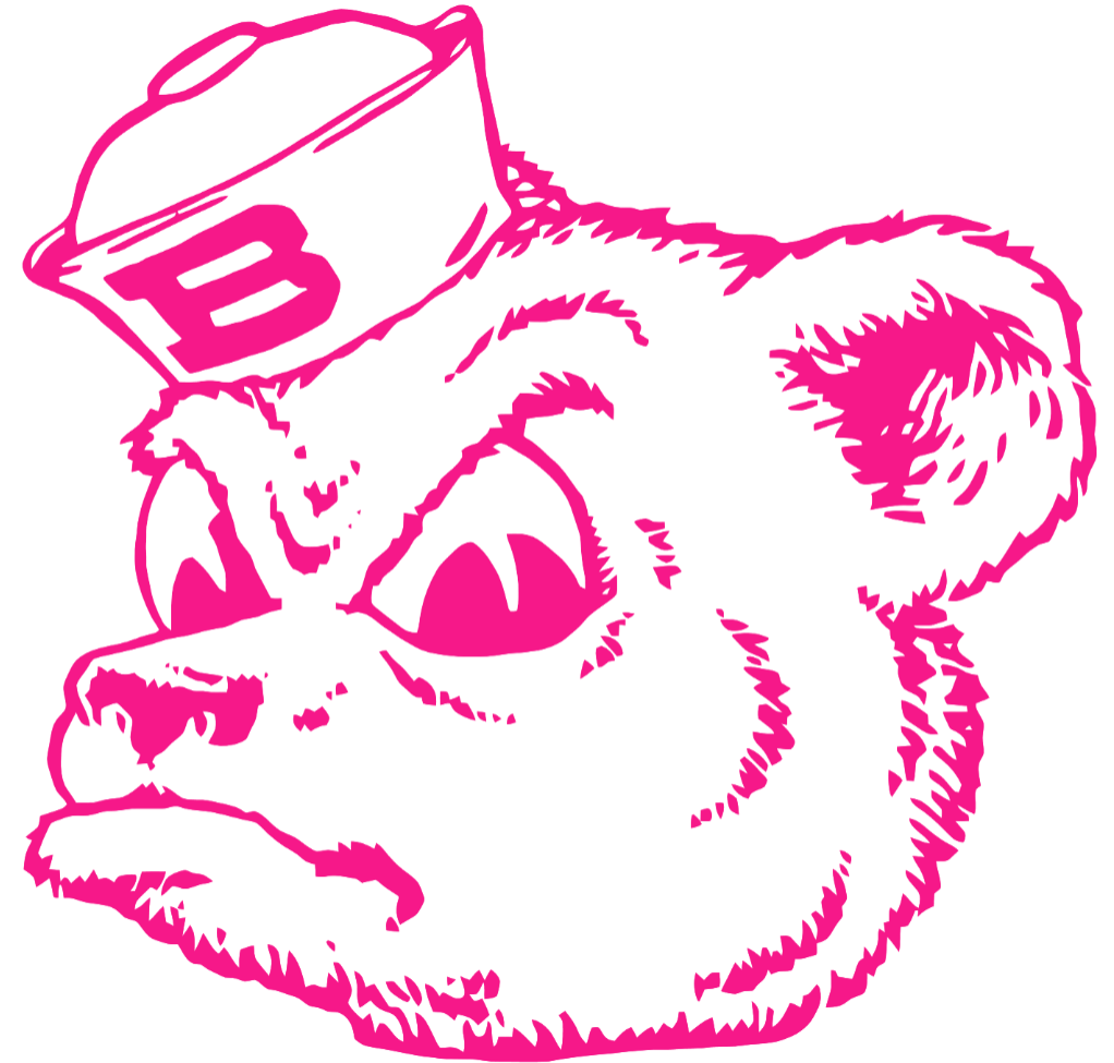 Baylor Bears Hot Pink Retro Throwback Premium DieCut Vinyl Decal PICK SIZE