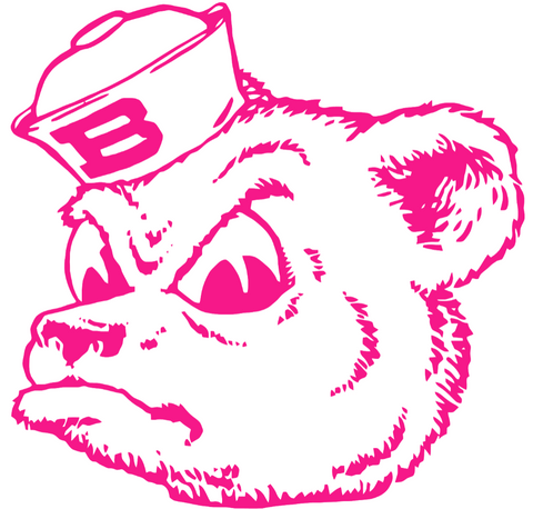 Baylor Bears Hot Pink Retro Throwback Premium DieCut Vinyl Decal PICK SIZE