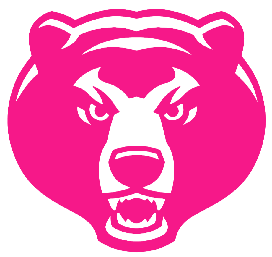 Baylor Bears Hot Pink Retro Throwback Logo Premium DieCut Vinyl Decal PICK SIZE