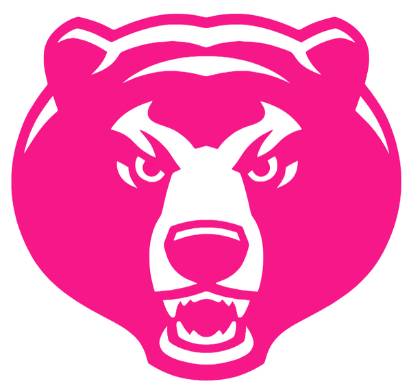 Baylor Bears Hot Pink Retro Throwback Logo Premium DieCut Vinyl Decal PICK SIZE