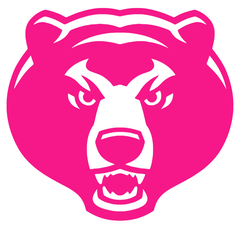 Baylor Bears Hot Pink Retro Throwback Logo Premium DieCut Vinyl Decal PICK SIZE