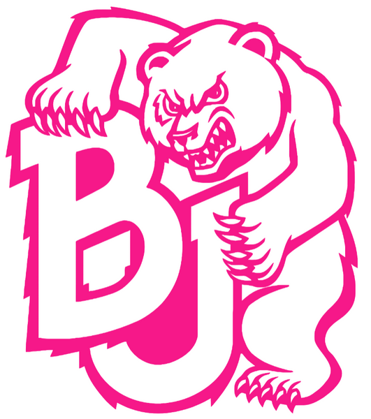 Baylor Bears Hot Pink Retro Throwback Logo Premium DieCut Vinyl Decal PICK SIZE