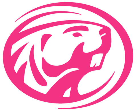 Bemidji State Beavers HOT PINK Team Logo Premium DieCut Vinyl Decal PICK SIZE