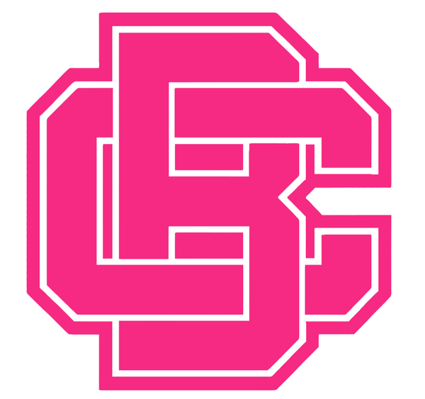Bethune Cookman Wildcats HOT PINK Team Logo Premium DieCut Vinyl Decal PICK SIZE
