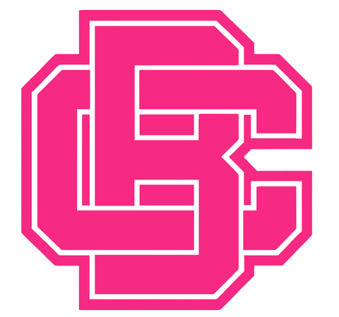 Bethune Cookman Wildcats HOT PINK Team Logo Premium DieCut Vinyl Decal PICK SIZE
