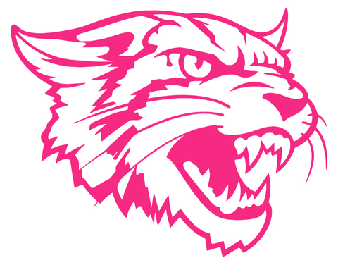 Bethune Cookman Wildcats HOT PINK Mascot Logo Premium DieCut Vinyl Decal PICK SIZE