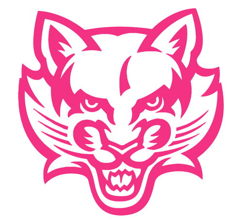 Binghampton Bearcats HOT PINK Team Logo Premium DieCut Vinyl Decal PICK SIZE