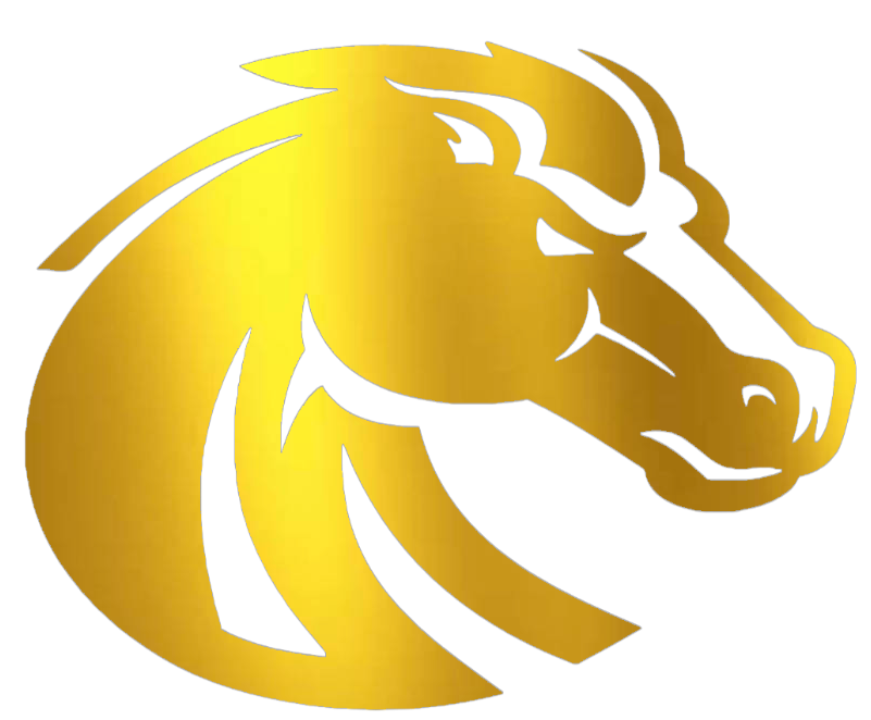 Boise State Broncos GOLD CHROME MIRROR Team Logo Premium DieCut Vinyl Decal PICK SIZE