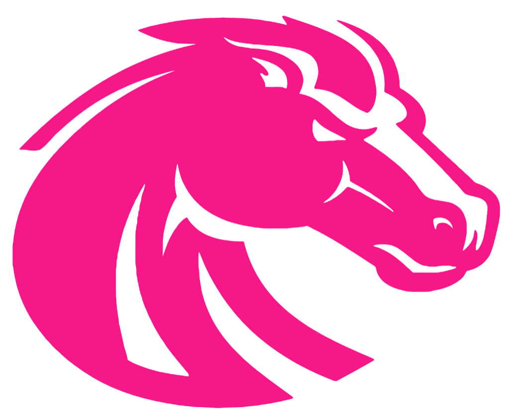 Boise State Broncos Hot Pink Team Logo Premium DieCut Vinyl Decal PICK SIZE
