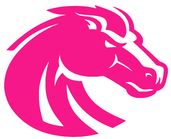 Boise State Broncos Hot Pink Team Logo Premium DieCut Vinyl Decal PICK SIZE