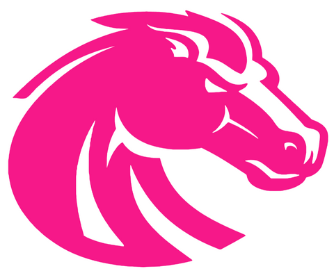 Boise State Broncos Hot Pink Team Logo Premium DieCut Vinyl Decal PICK SIZE