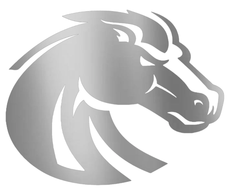 Boise State Broncos SILVER CHROME MIRROR Team Logo Premium DieCut Vinyl Decal PICK SIZE