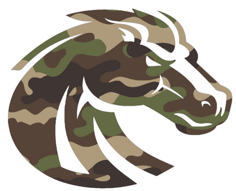 Boise State Broncos Woodland Camo Camouflage Team Logo Premium DieCut Vinyl Decal PICK SIZE
