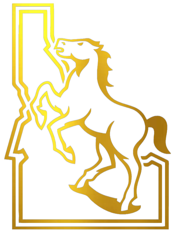 Boise State Broncos GOLD CHROME MIRROR Retro Logo Premium DieCut Vinyl Decal PICK SIZE