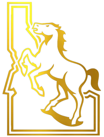 Boise State Broncos GOLD CHROME MIRROR Retro Logo Premium DieCut Vinyl Decal PICK SIZE