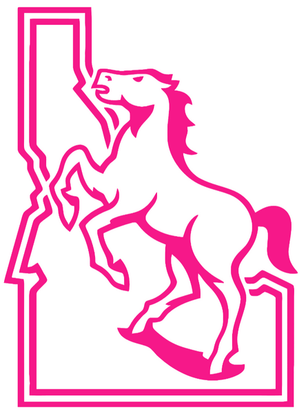 Boise State Broncos Hot Pink Retro Logo Premium DieCut Vinyl Decal PICK SIZE