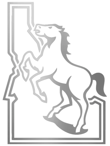 Boise State Broncos SILVER CHROME MIRROR Retro Logo Premium DieCut Vinyl Decal PICK SIZE