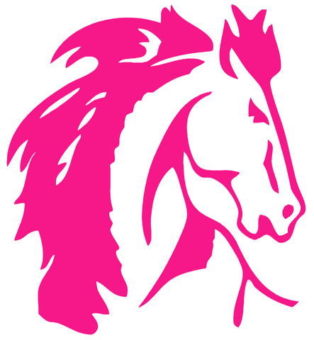 Boise State Broncos Hot Pink Retro Throwback Logo Premium DieCut Vinyl Decal PICK SIZE