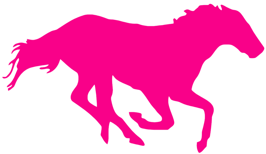 Boise State Broncos Hot Pink Retro Throwback Logo Premium DieCut Vinyl Decal PICK SIZE